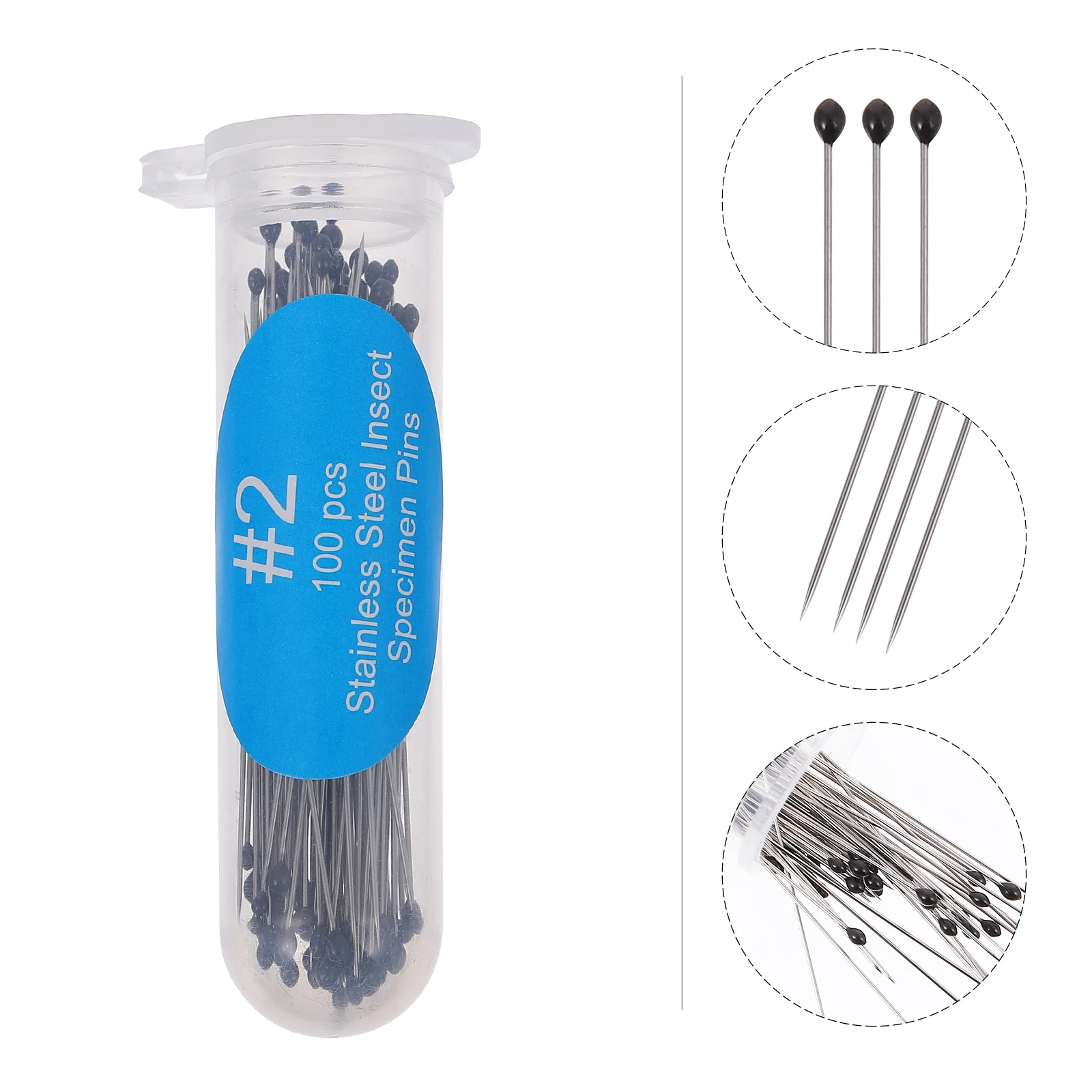 

300 Pcs Stainless Steel Insect Needle Specimen Pin Collection Needles Taxidermy Kits Kids Dissection Collector Supplies