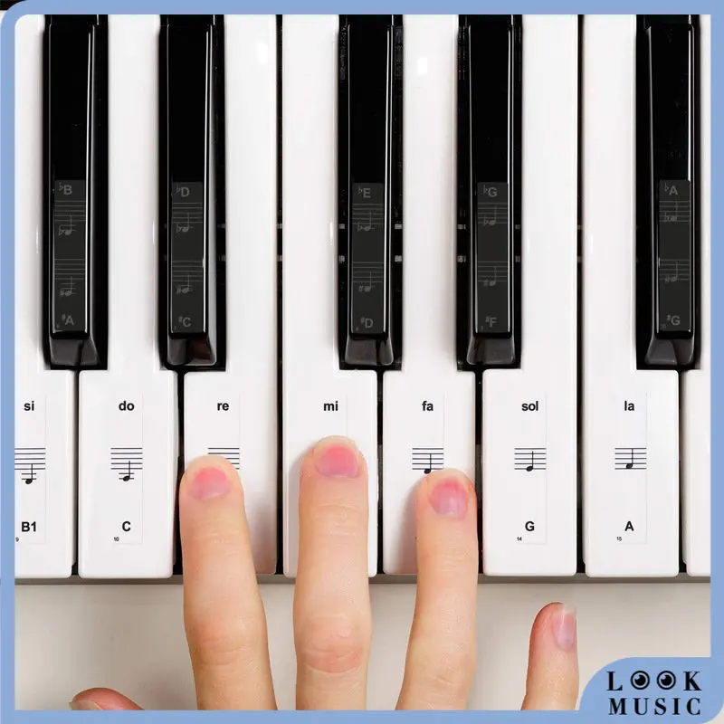 

32/37/54/61/88 Key Piano Stickers PVC Transparent Piano Keyboard Piano Stave Electronic Keyboard Name Note Sticker Accessories