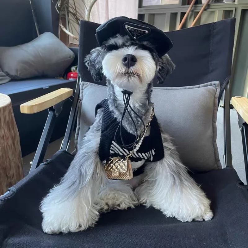 

Черный, белый вязаный свитер, одежда для собак, Модная элегантная одежда для маленьких собак, кошек, теплый костюм на осень и зиму, товары для...