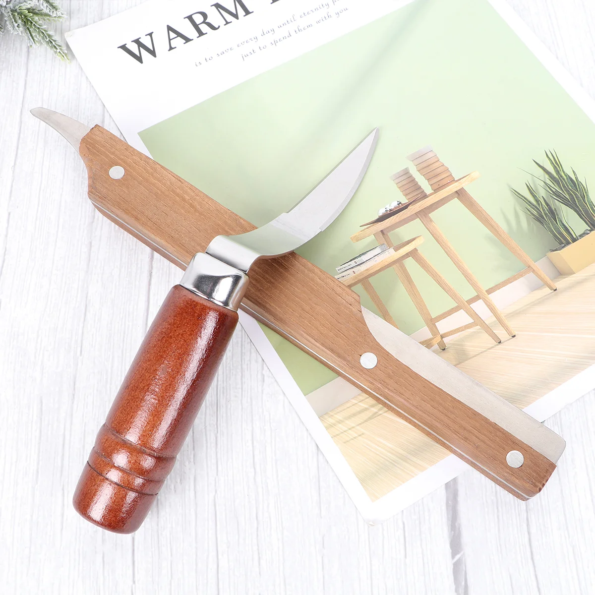 

Opener Meat Tool Remover Scraper Scaler Stainless Steel Grater Opening