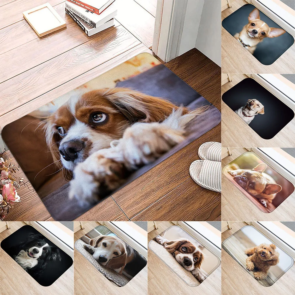 

Room living room kitchen bathroom porch entrance decoration door mat indoor small rug home decoration cute pug pattern floor mat