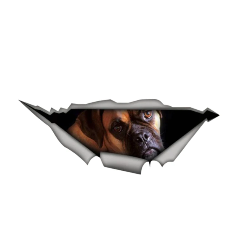 Автомобильная наклейка N333 #, немецкие водонепроницаемые виниловые наклейки для боксеров, собак, домашних животных, автомобильные аксессуары, наклейка для самостоятельного стайлинга автомобиля