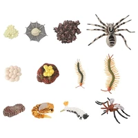 12 pcs of life cycle figures of insect animal growth life cycle model for kids biology science toys educational toys