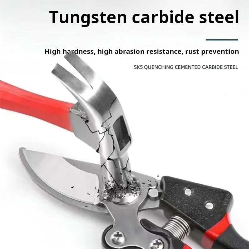 Лабораторные ножницы для обрезки фруктов шероховатые из легированной стали SK5