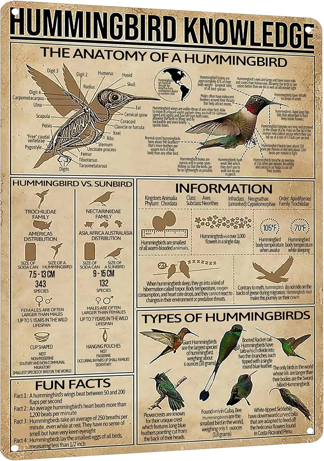 Металлическая вывеска HYBLOM Hummingbird Knowledge - винтажная жестяная для ванной комнаты и