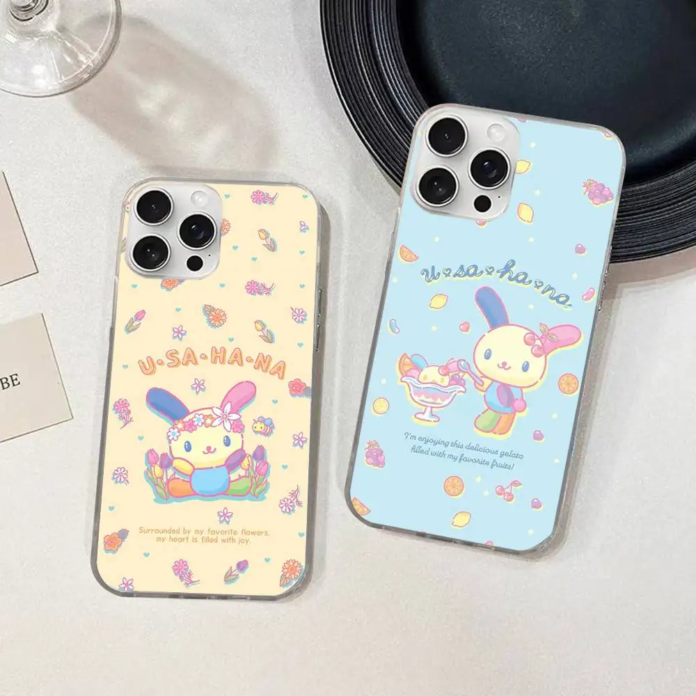 Фото Чехол для телефона Rainbow Bunny USA HaNaS для iPhone 11 12 13 14 15 16 17 Plus Pro Max, сатиновый, глянцевый, с лазерной обработкой №3