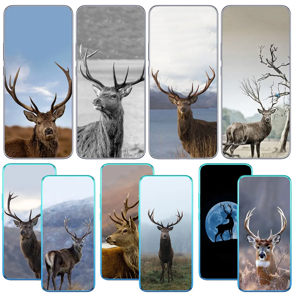 

Олень Охота мягкий чехол для телефона для Infinix Hot 10i Note 11 10 Pro 9 Play 10T для Tecno Spark 8C 8P 5 6 8 чехол