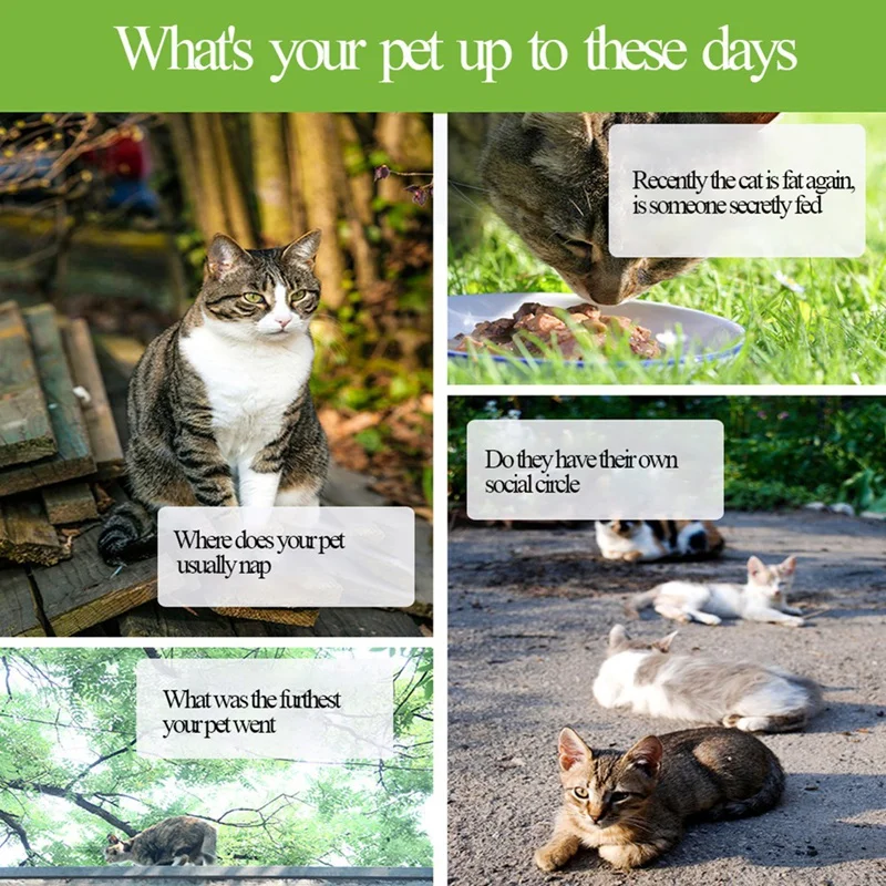 Мини-GPS-регистратор данных водонепроницаемый GPS-трекер регистратор для кошек