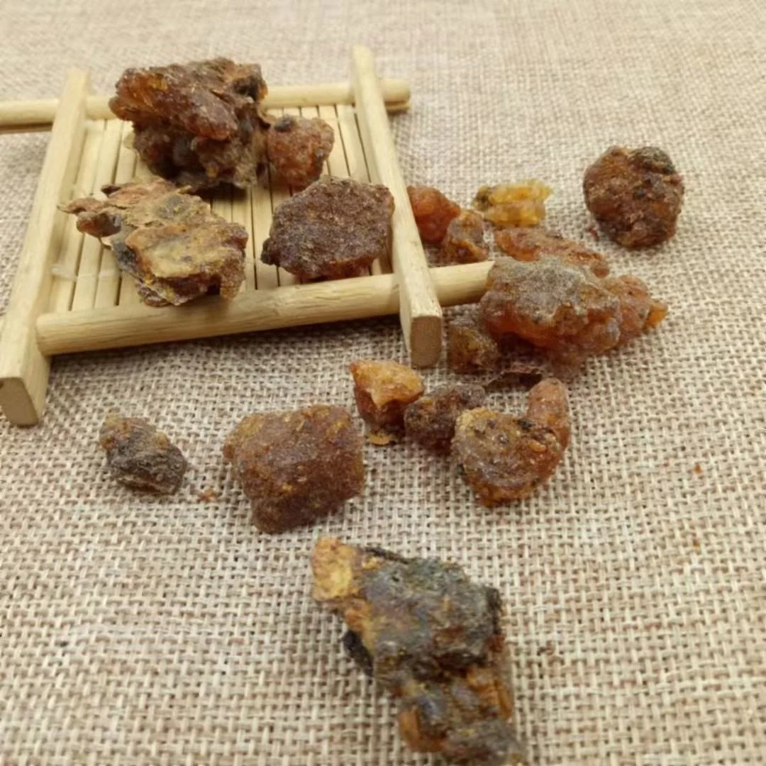 Commiphora Myrrha