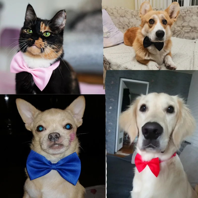 

Регулируемый галстук-бабочка для собак и кошек, Официальный галстук-бабочка, портативный ошейник для аксессуаров для маленьких и средних собак и кошек
