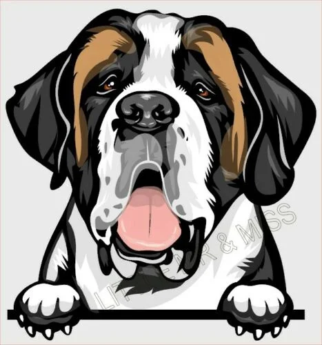 

For St BERNARD Peeking Dog Breed Color Window Wall Laptop Sticker w/proof