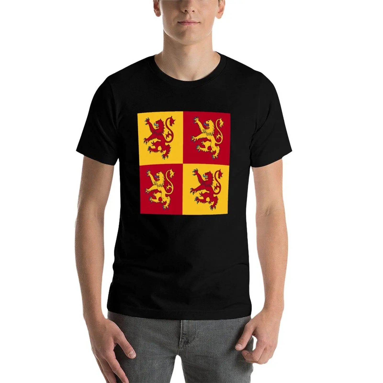 Фото Футболка Owain Glyndwr из мягкого хлопка, базовая модель. №4