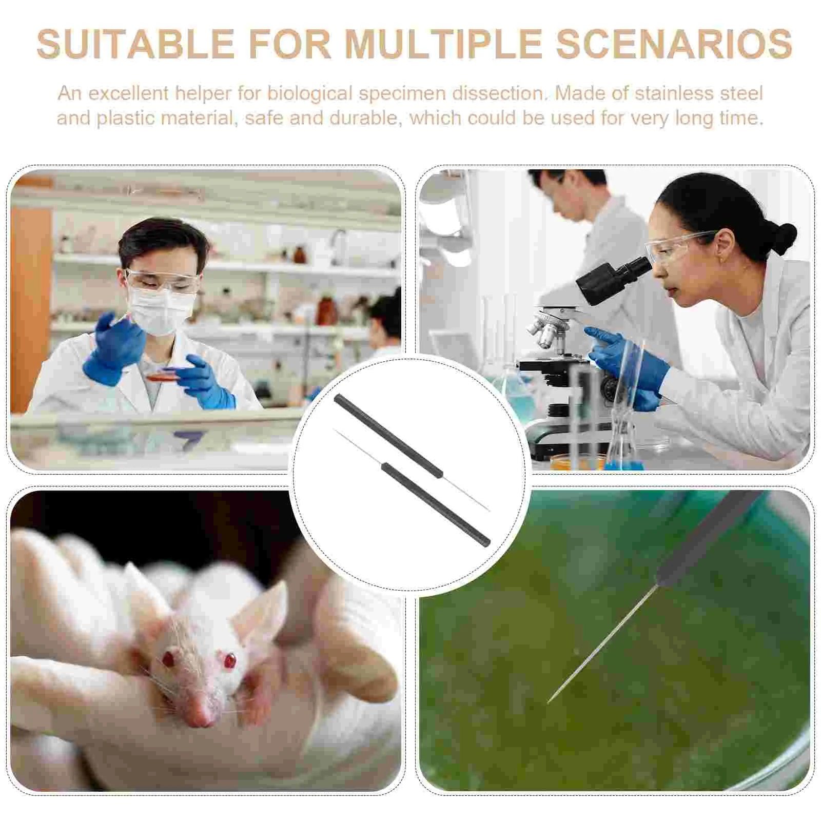 Набор игл для рассечения насекомых 2 шт. инструмент энтомологии школьная