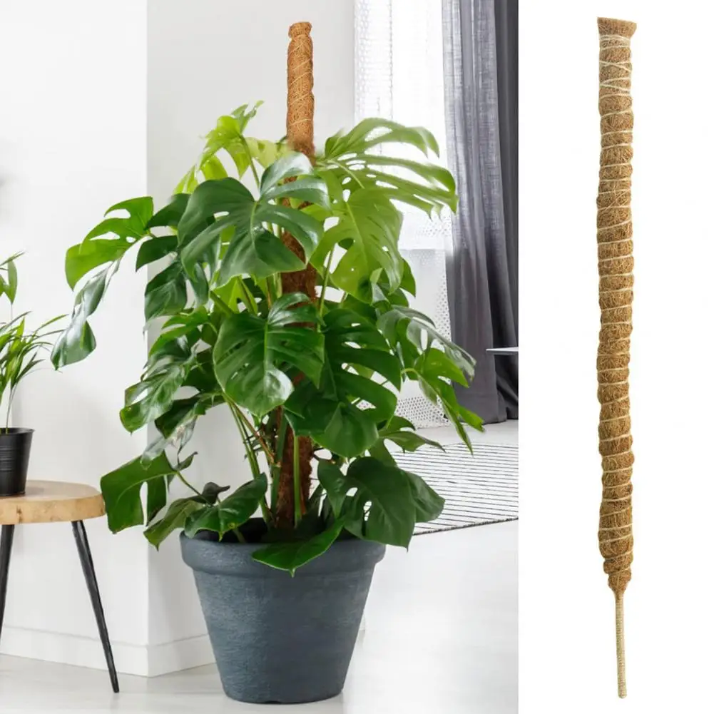 

Moss Pole Useful Portable Weather Resistant for Home Plant Climbing Trellis Plant Climbing Support