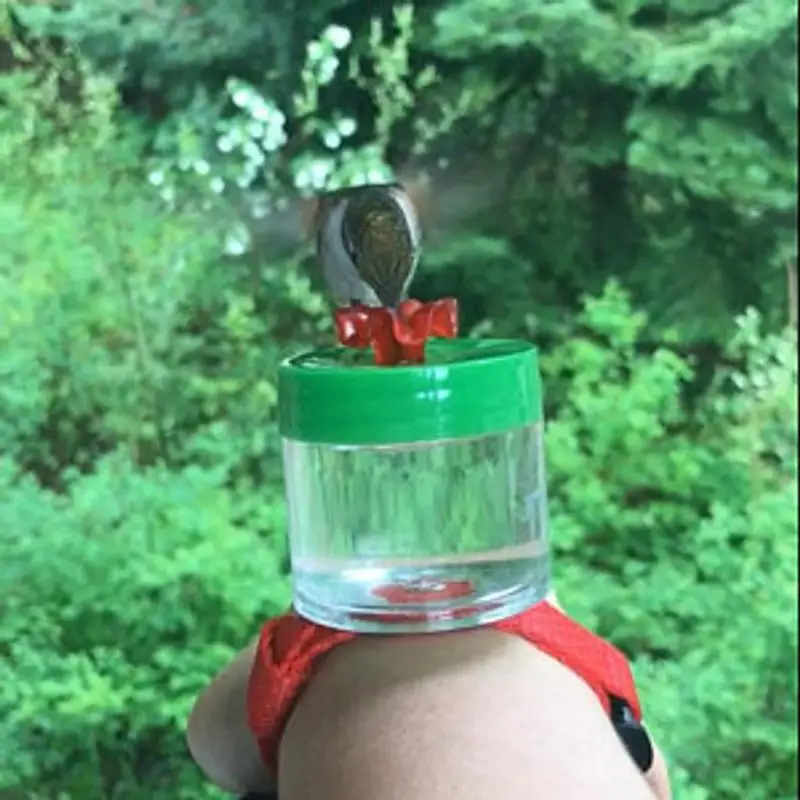 

Hummingbird Wild Bird Feeder Outdoor Hanging Windproof Ball Type Bird Feeder Garden Decoration Yard Garden Decor Dropshipping