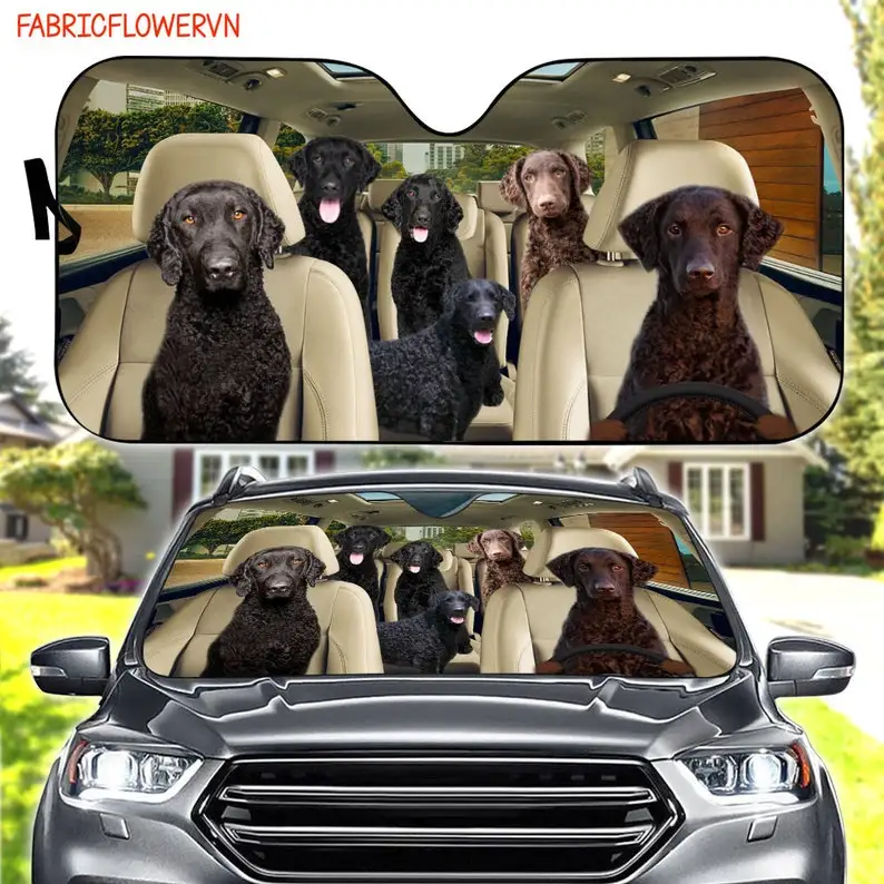 

Curly Coated Retriever Car Sunshade, Retriever Car Decoration, Dog Windshield, Dog Lovers Gift, Dog Car Sunshade, Gift For Mom,