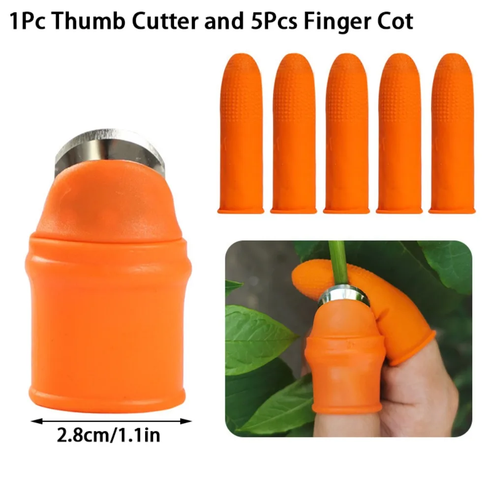 

Силиконовый набор для сбора овощей 6 шт.