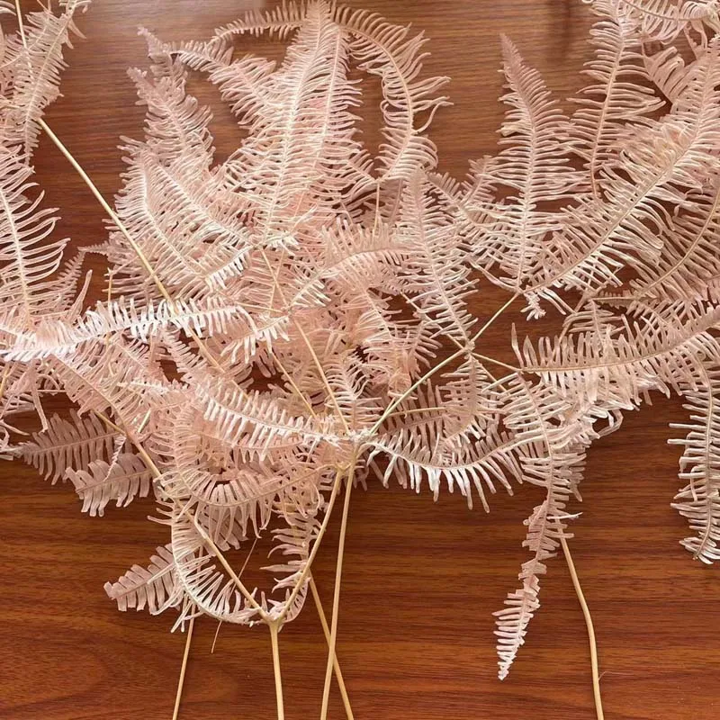 10 шт./около 30*40 см Osmunda Japonica различных форм и размеров |