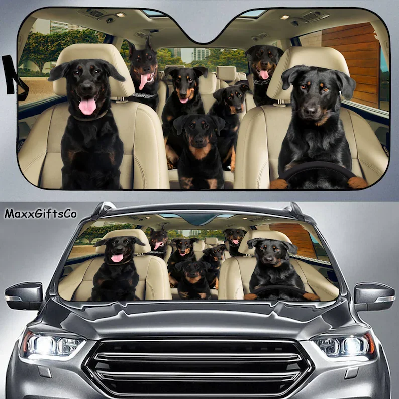 

Beauceron Car Sun Shade, Beauceron Windshield, Beauceron Family Sunshade, Dogs Car Accessories, Dogs Lovers Gift, Car Decoration