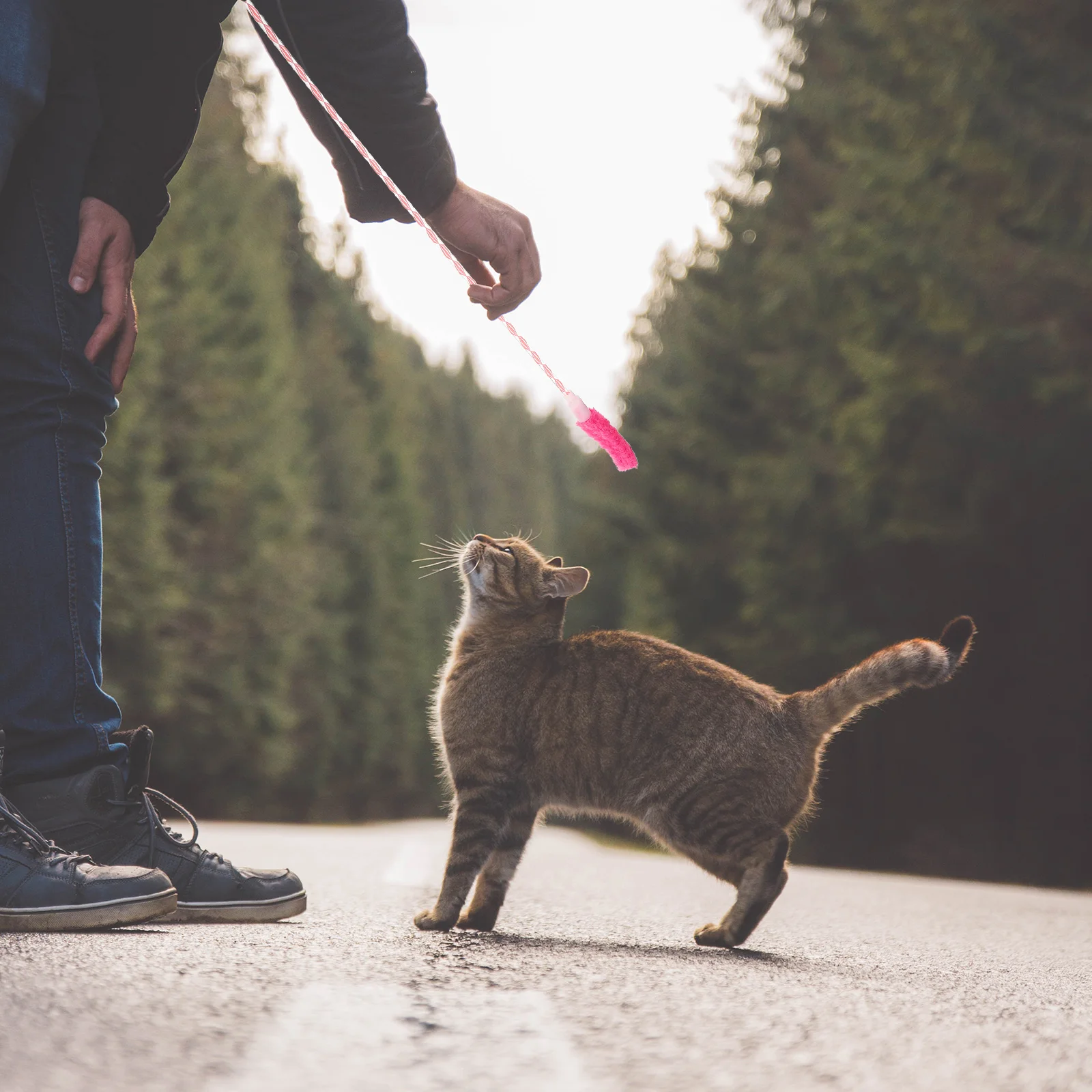 

Cat Interactive Toy Toys Wand Kitten Teaser Sticks Dog Pole Worm Replacement Pet Training Rod Funny Exercise