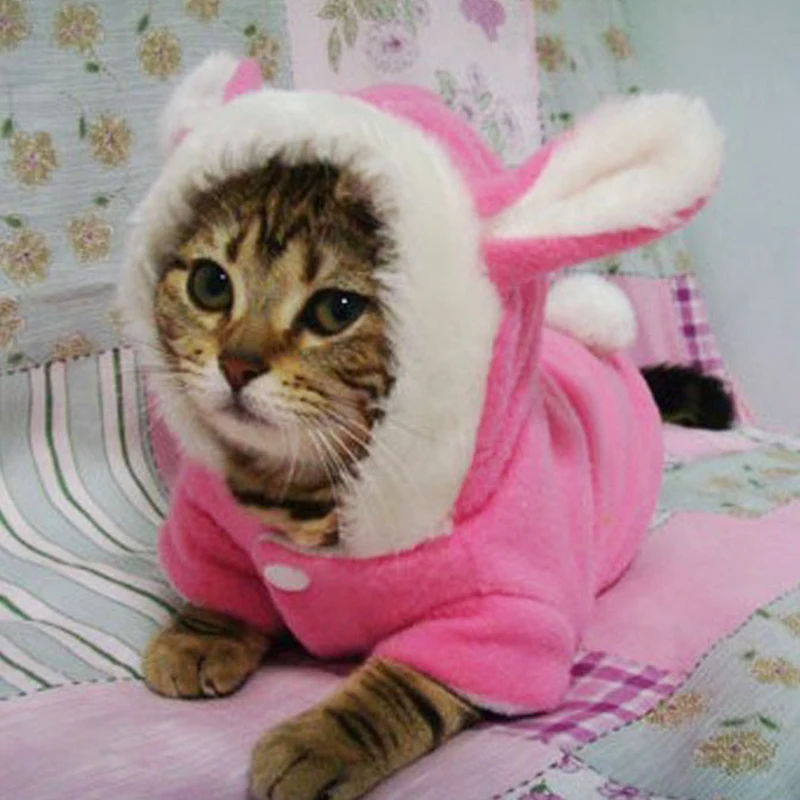 

Pet Cat Clothes Mascotas Costume Clothes For Pet Hoodies Cute Rabbit Cat Kitten Clothing Puppy Fleece Warm Pet Cat Jacket Outfit