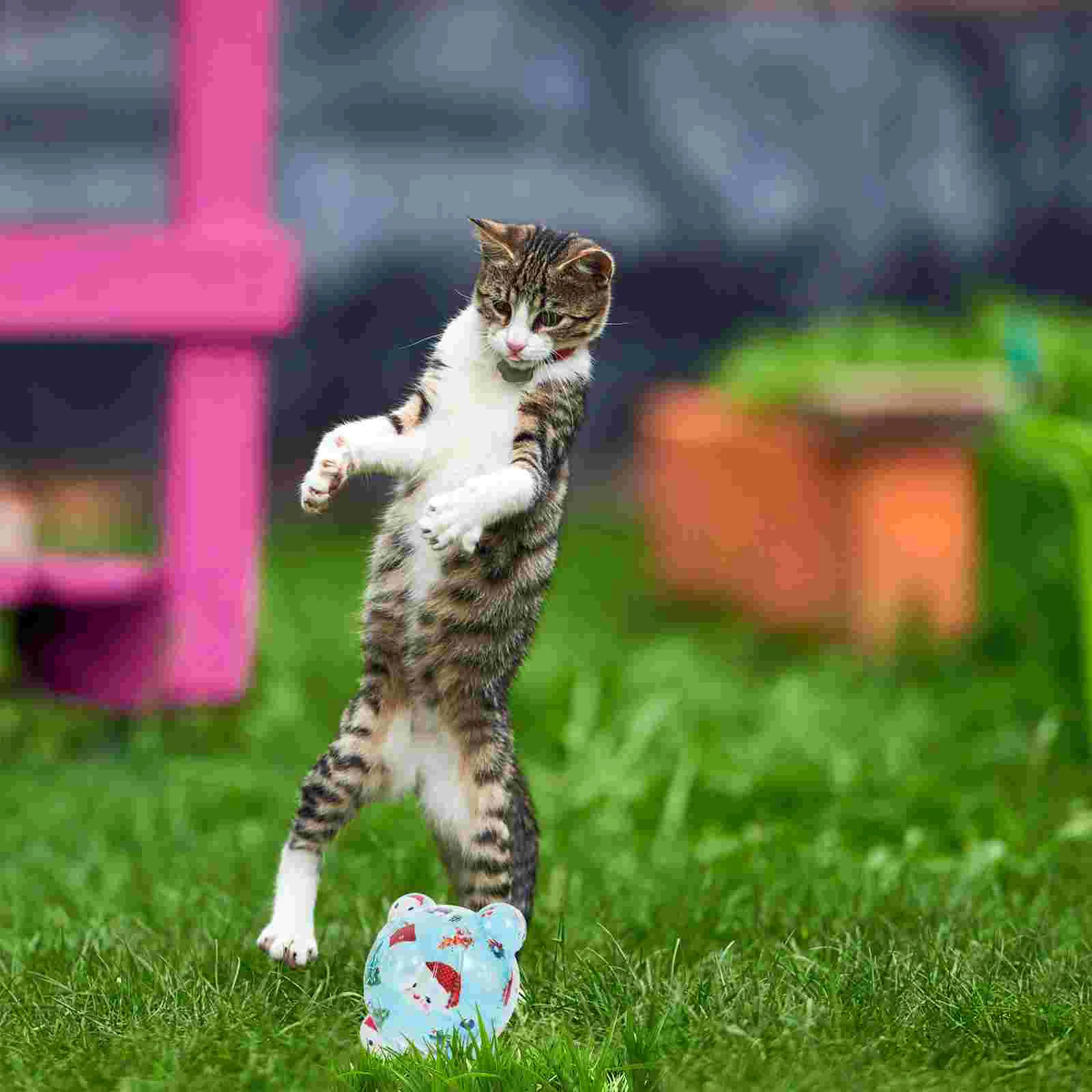 

Chewing Cat Balls Adorable Cat Toy Kitten Chewing Ball Indoor Cat Balls Cat Toy