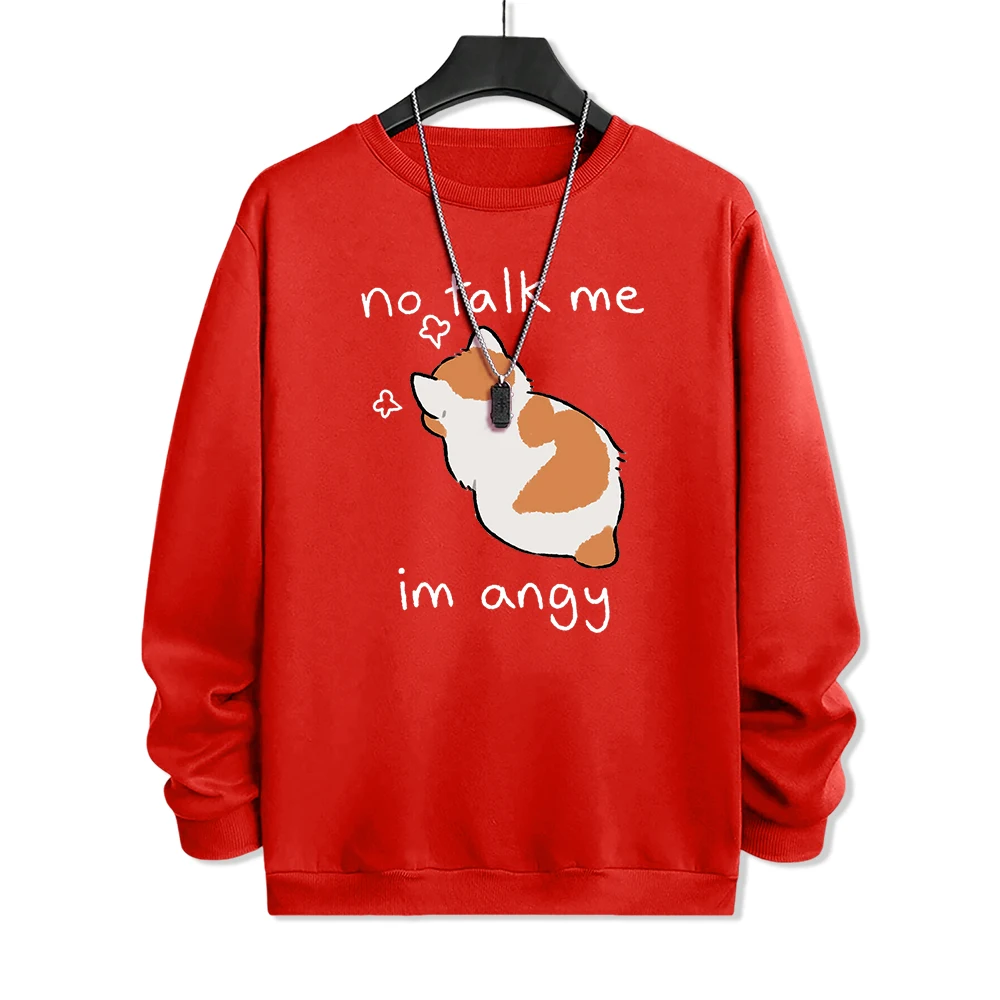 Свитшот мужской с принтом No Talk Me I Anay злой кот повседневный худи круглым вырезом