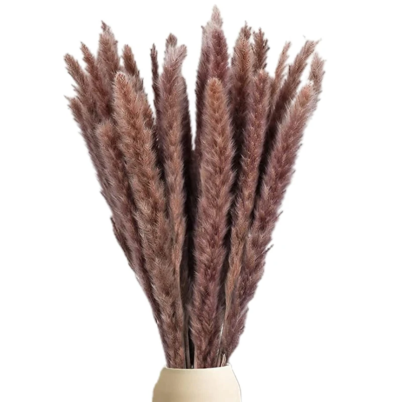 

Натуральная пампасная трава, пушистая сушеная коричневая пампасная трава для букет пампасы, композиции для свадьбы и украшения дома