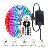 AC220V 5050 Multicolor RGB LED Strip Remote Controller Color Changing IP65 Indoor Outdoor Flexible Neon Ribbon Lamp Gardens Home