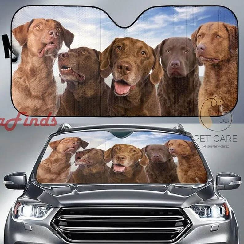 

Chesapeake Bay Retriever Auto Sun Shade Amazing Best Gift Ideas 2022