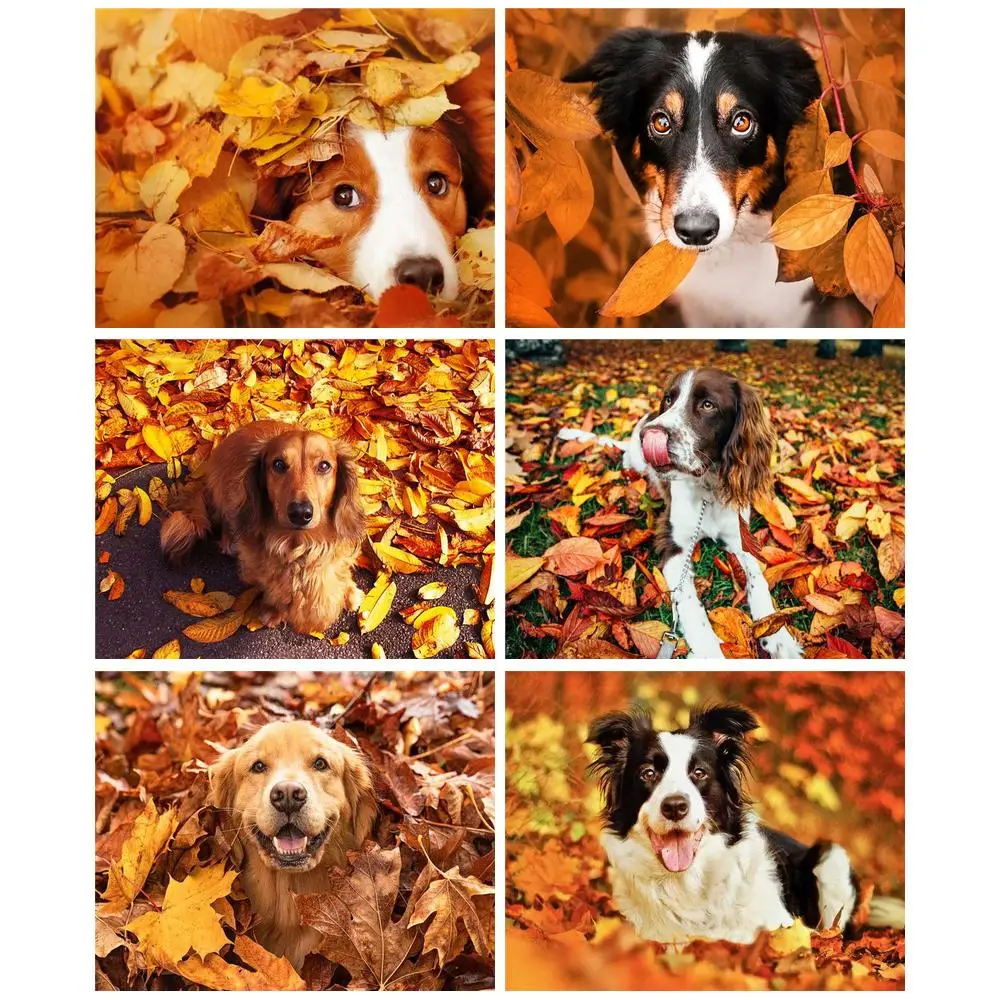 

SDOYUNO 40x50 Painting By Numbers Diy Handpainted Drawing By Numbers Animals Dog Coloring By Number Artwork