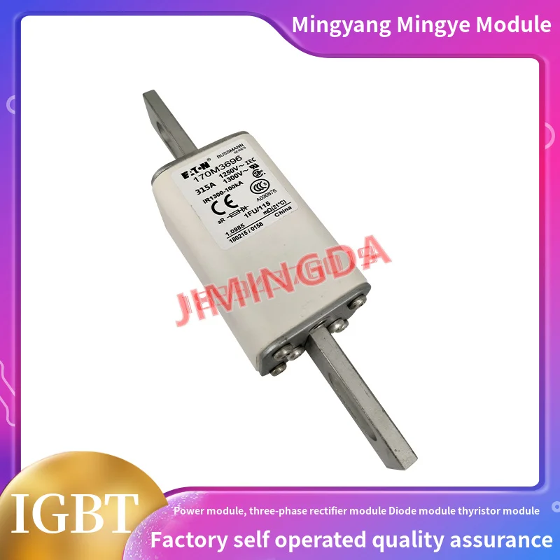 

Original fuse170M3690 170M3691 170M3692 170M3693 170M3694 170M3695 170M3696 170M3697