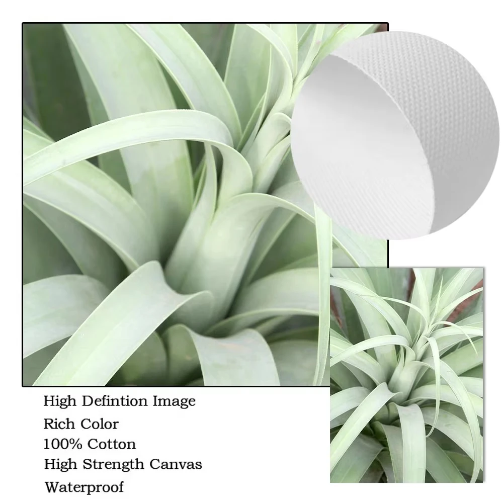 Скандинавская Настенная картина кактус суккуленты листья растений