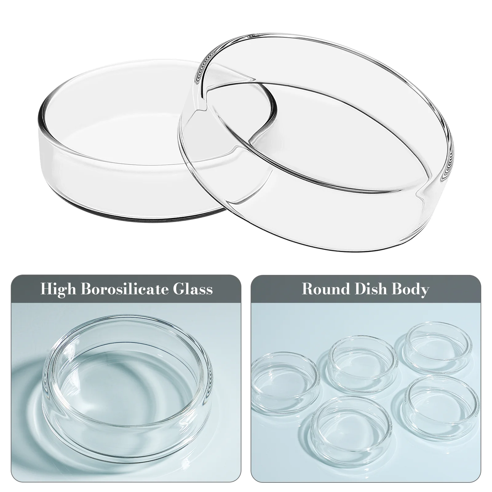 Рисунок 6 - стеклянная плитка Петри