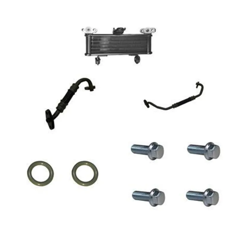 

Zt350-r Oil охладитель в сборке (mes) 4024300-069000 For Zontes