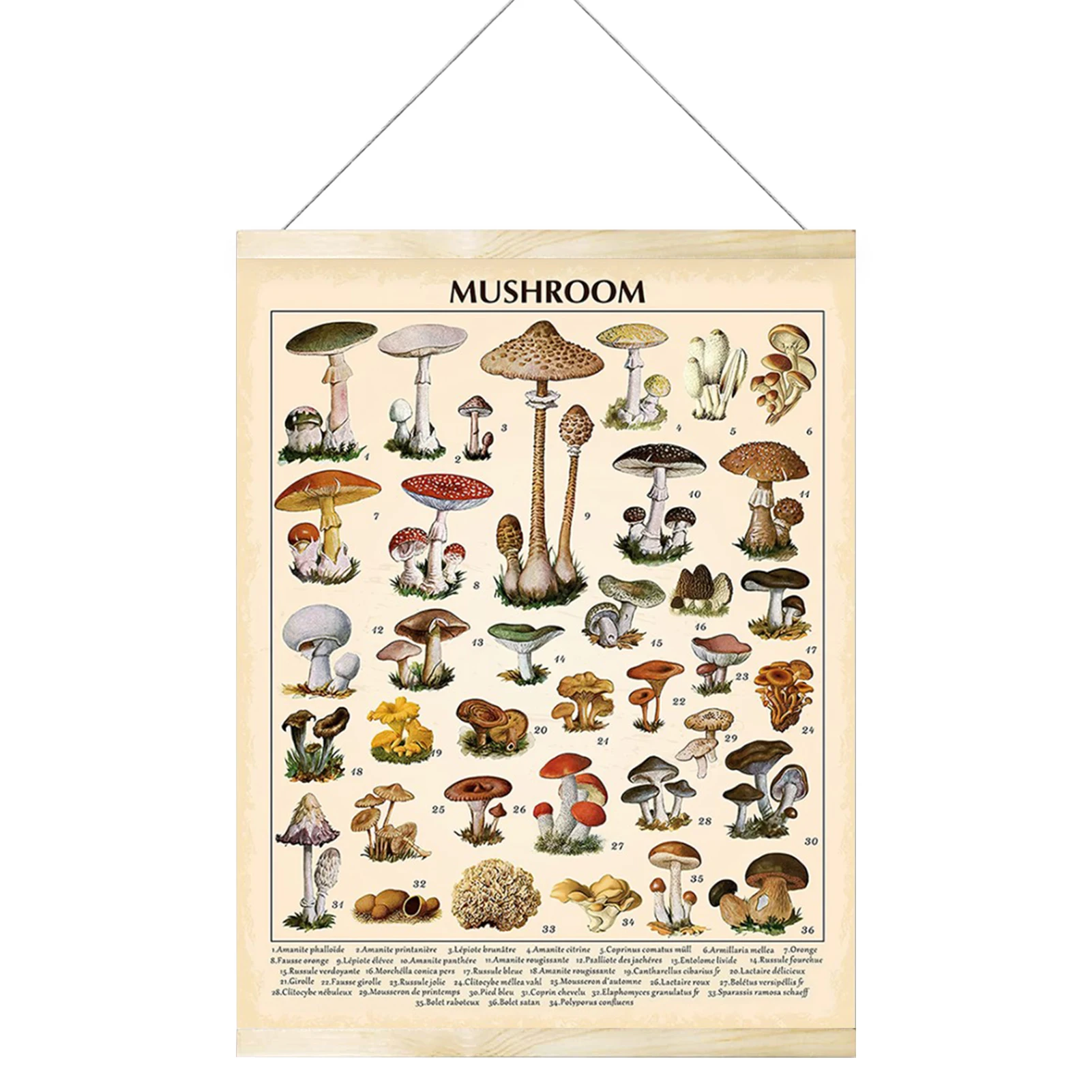 

Painting Room Decor Canvas Home Office Natural Reference Chart Educational Simulation Vintage Gift Mushroom Print Wall Hanging