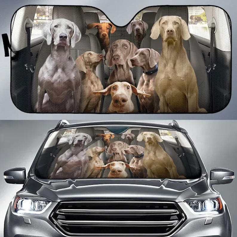 

Автомобильный солнцезащитный козырек weimранer 158, автомобильные аксессуары, защитное окно для автомобиля, индивидуальное оформление животных, стиль для автомобиля