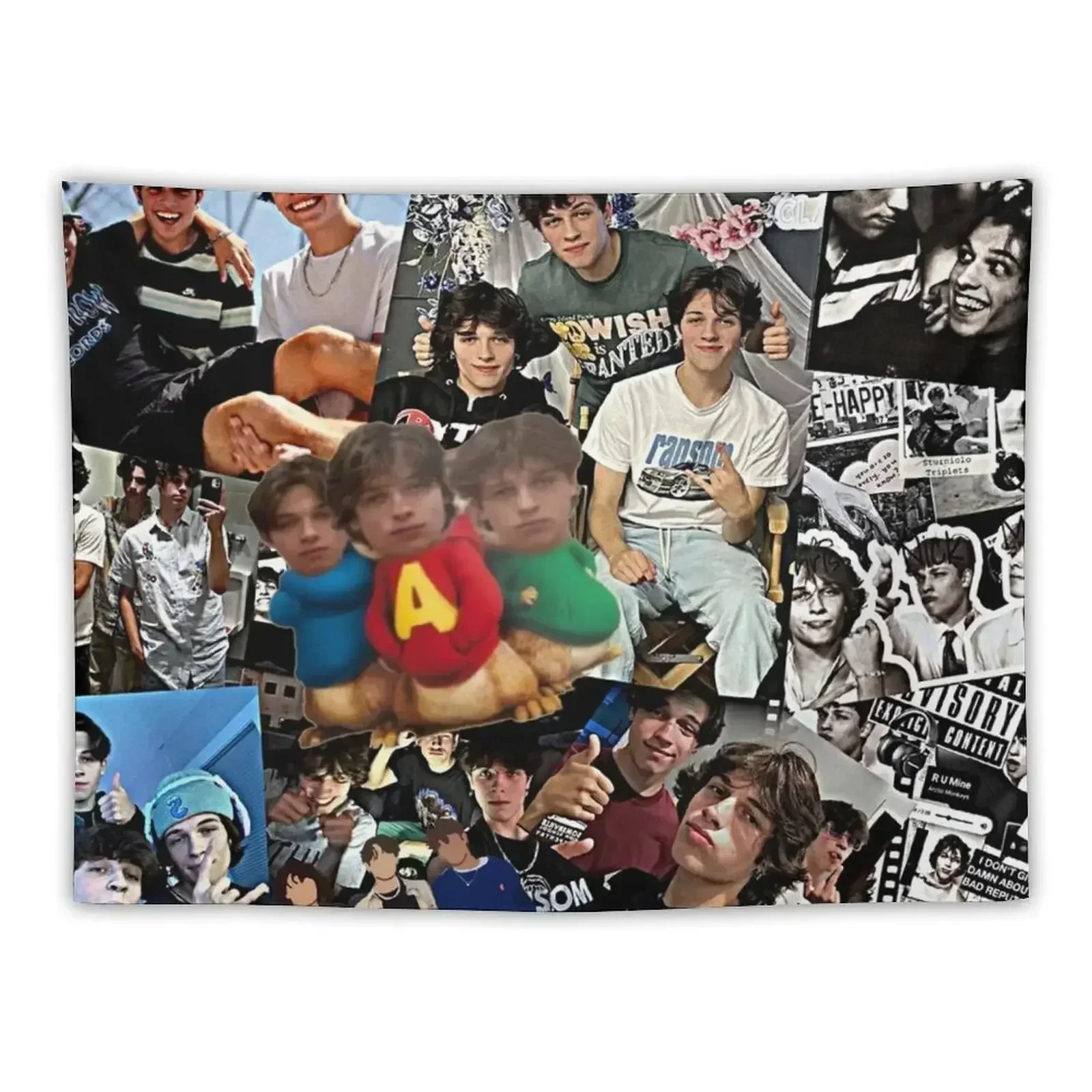 Гобелен Sturniolo Triples