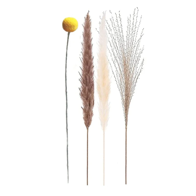 

65Pcs Dried Pampas Grass Decor Set - 30Pcs White And Brown Pampas Grass& 30Pcs Reed Grass & 5Pcs Craspedia Flowers