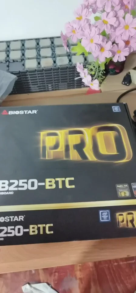 

Оригинальная материнская плата Biostar TB250-BTC Pro