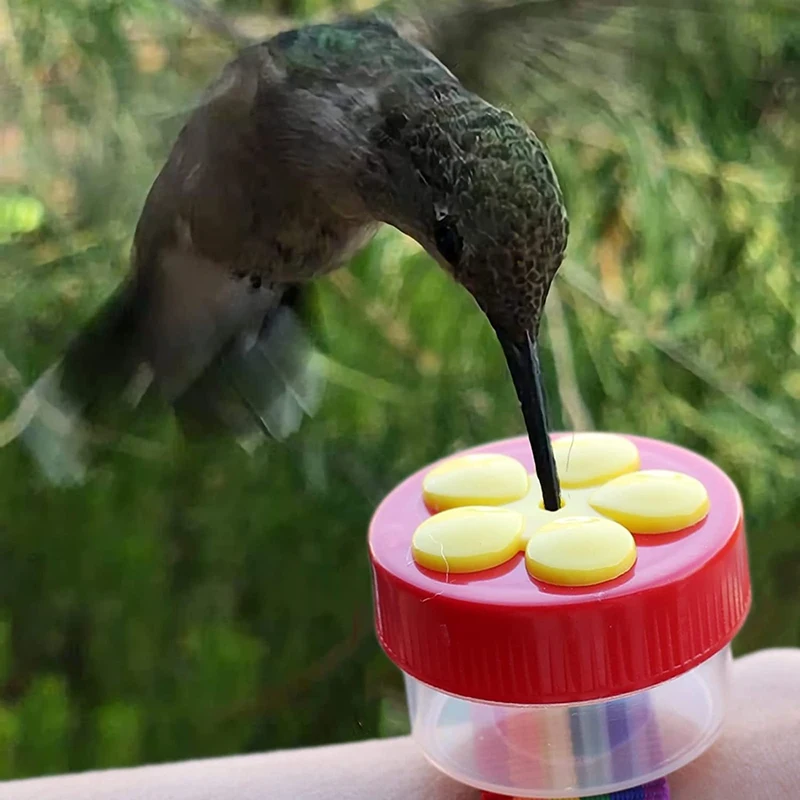 

Птичьи искусства с 2 кольцами кормушки и 2 кольцами кормушки для птиц на запястье