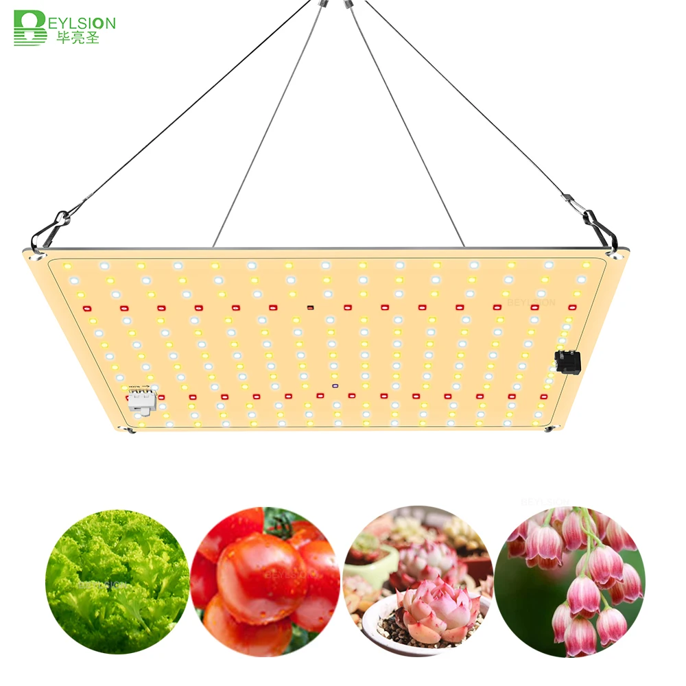 S Board For Veg Flower Blooms
