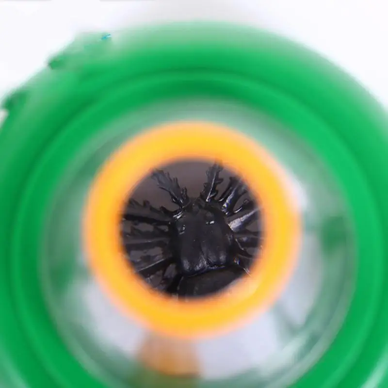 

Insect Box Magnifying Glass Small Animal Biological Viewer Box Children's Science Exploration Science Education Magnifying Glass