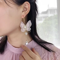 big earrings for women 2022 long lace mesh butterfly ear hooks spring and summer new style net red exaggerated tassel jewelry