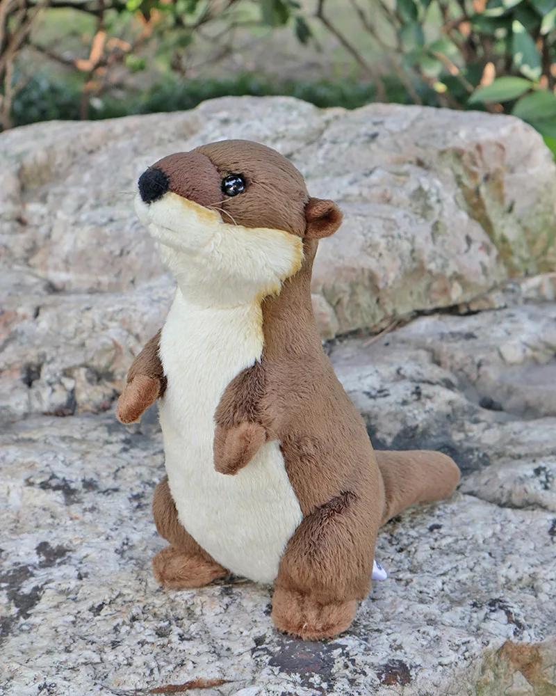 Купить Выдру Живую Цена