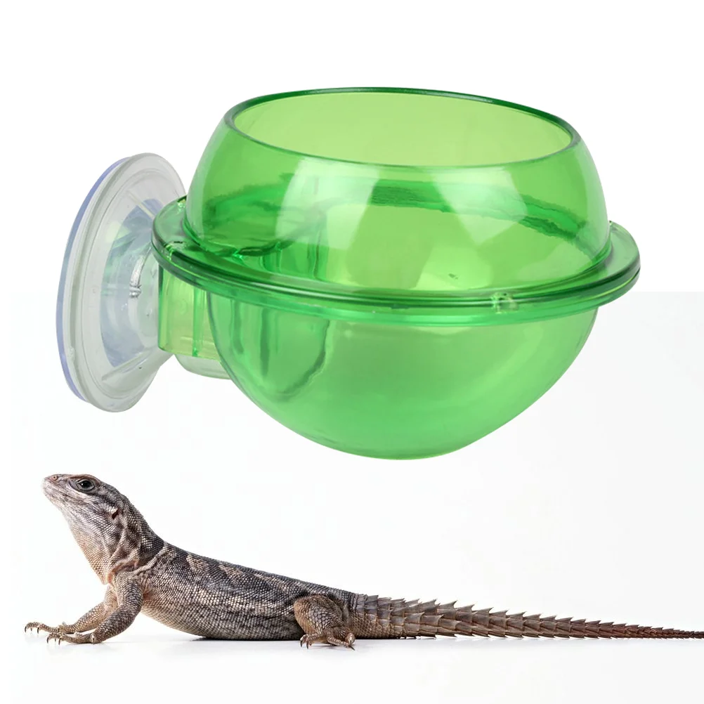 

Bowl Reptile Water Lizard Feeder Feeding Drinking Turtle Dish Tortoise Plate Pet