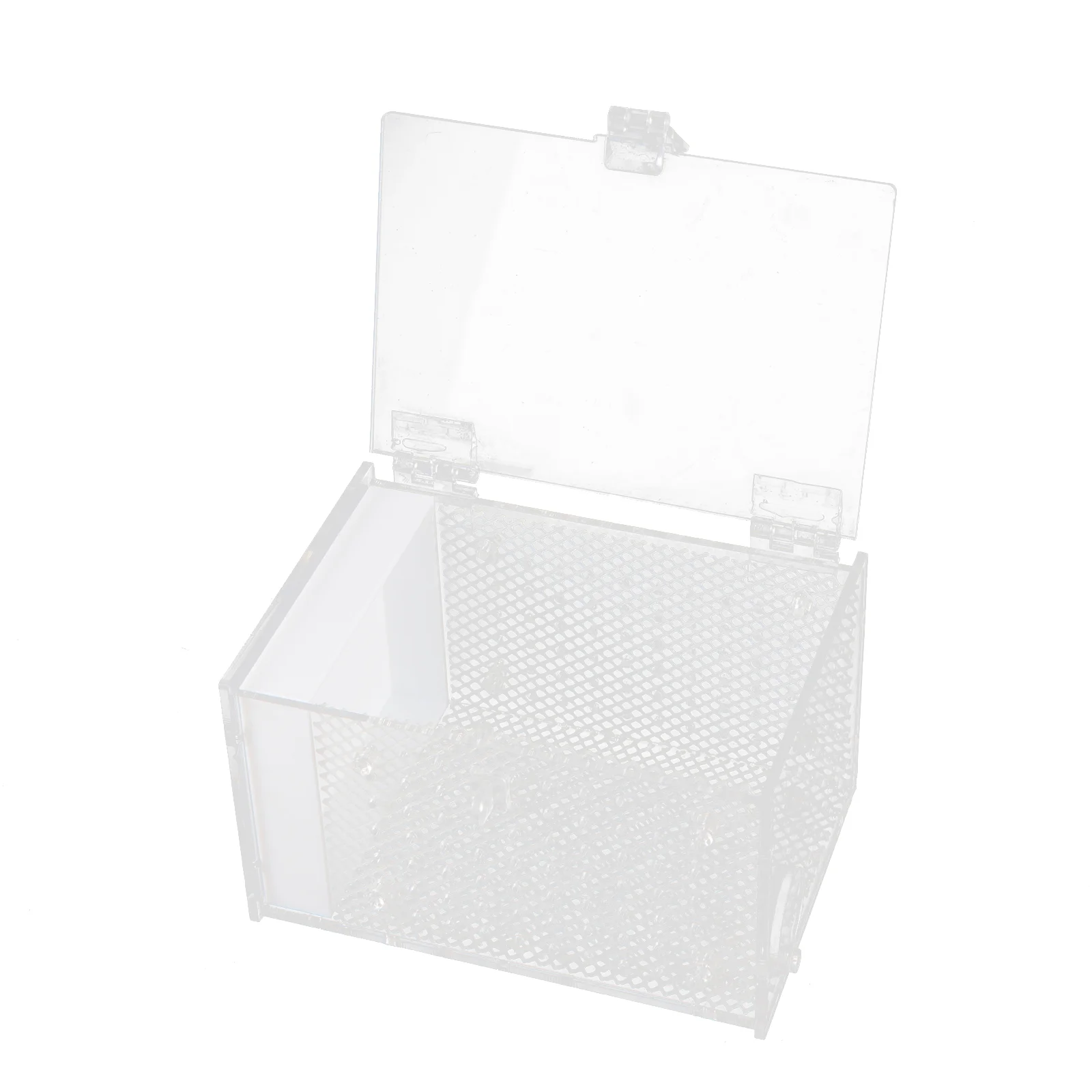 Ящик для разведения богомола белый держатель рептилий видимый чехол кормления