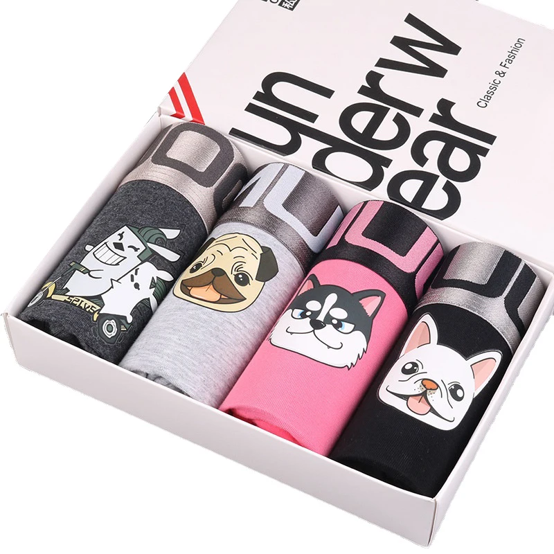 HaleyChan Women Cotton Colorful Cartoon 4Pc Boxer Brief for Women's Tomboy Trans Lesbian Transgender Ftm Underwear Women Panties