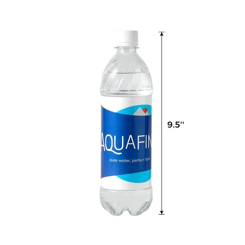 Aquafina زجاجة ماء تحويل آمنة خبأ يمكن صندوق حاوية أمان مخفي