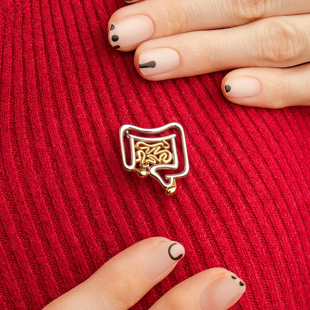 Медицинская брошь для кишечника Hanreshe пищеварительная система медицина